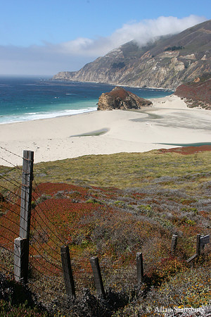 Coastal Fence