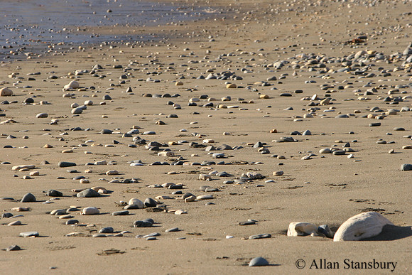 Rocked Beach