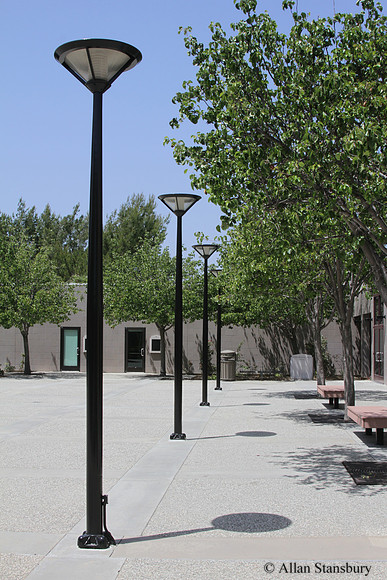 Courtyard Lamps