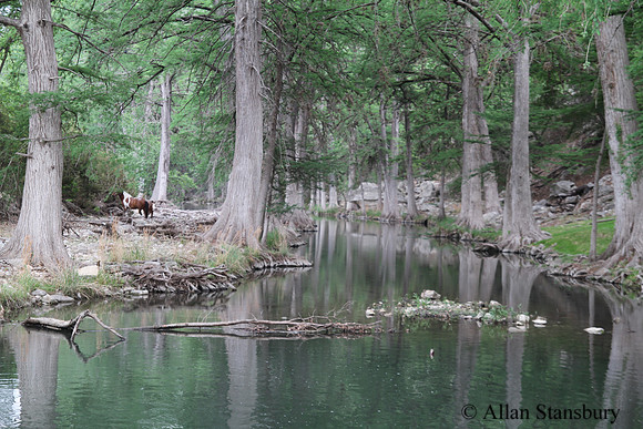 Streams of Texas