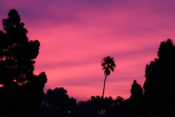 Sunrise At City Hall
