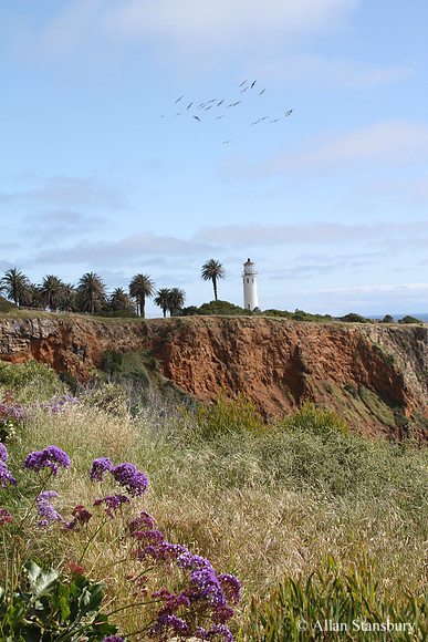 Pt. Vicente Lighthouse
