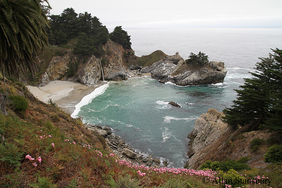 McWay Falls with Flowers