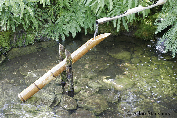 Zen Fountain