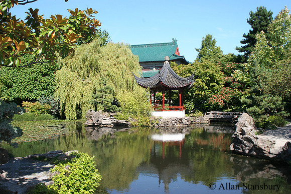 Peaceful Pagoda
